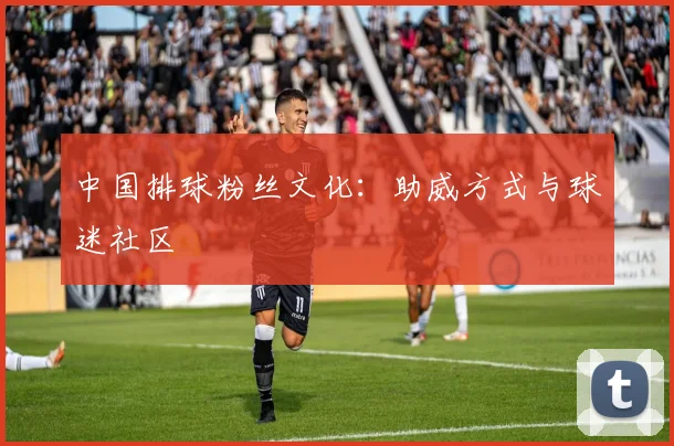 中国排球粉丝文化：助威方式与球迷社区