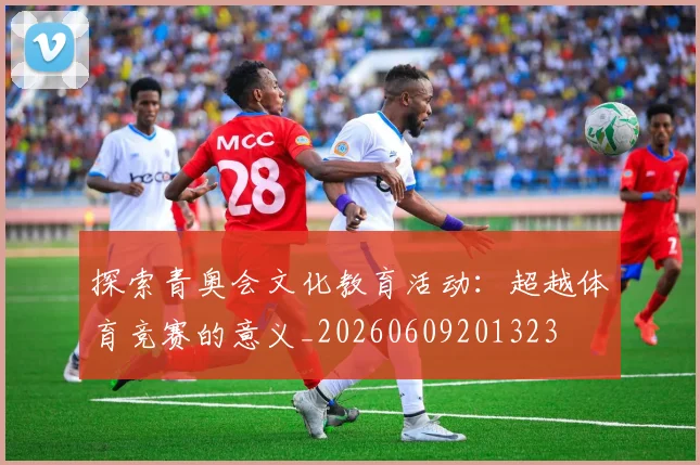 探索青奥会文化教育活动：超越体育竞赛的意义_20260609201323