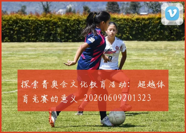 探索青奥会文化教育活动：超越体育竞赛的意义_20260609201323