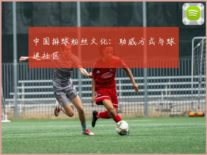 中国排球粉丝文化:助威方式与球迷社区